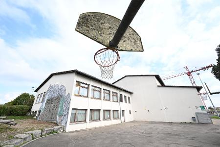 Um die Gemeindehalle in Kirchberg an der Murr abreißen zu dürfen, musste sich die Gemeinde erst um vier Fledermäuse kümmern.