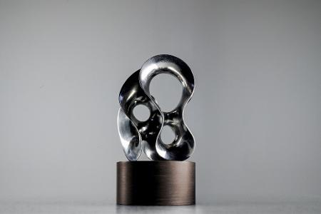 Diesen Award erhalten die Preisträger.