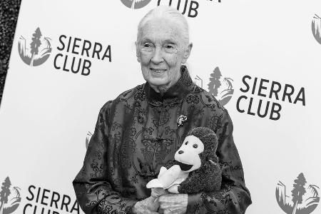 Primatenforscherin Jane Goodall stirbt mit 91 Jahren