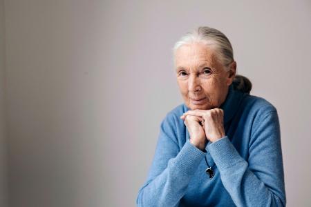 Die berühmte Schimpansenforscherin Jane Goodall ist im Alter von 91 Jahren gestorben. (Archivbild)