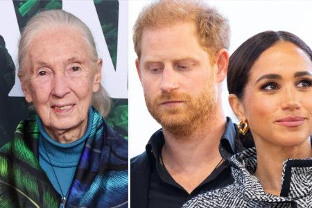 Harry und Meghan: Jane Goodall 