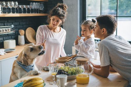 Drei Kinder unterschiedlichen Alters füttern einen Hund, der seine Pfoten auf dem Küchentisch abgestützt hat