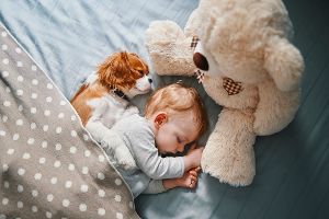 Baby schläft neben seinem Hund und seinem Teddybären