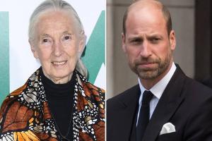 Nach Tod von Jane Goodall: Prinz William trauert um Naturforscherin