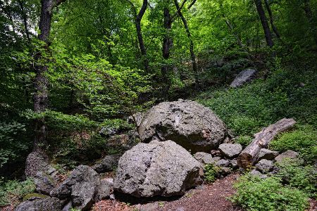 Erdoberfläche Eifel