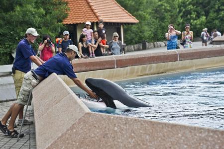 Der inzwischen geschlossene Freizeitpark in Kanada warnt, er müsse womöglich seine Tiere einschläfern. (Archivbild)