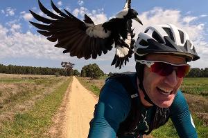 Radfahrer Shane Miller testet einen "PieProof"-Helm gegen Magpie-Angriffe.
