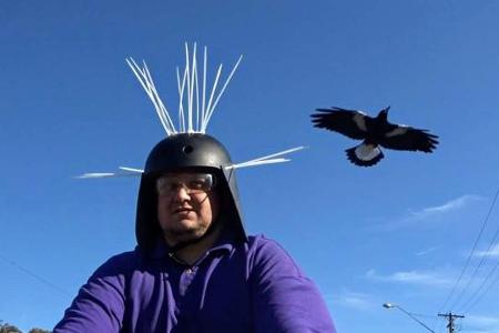 Youtuber Daniel Fitzgerald testet seinen Anti-Magpie-Helm.