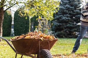 Gartenarbeit im Herbst: So werden Laub, Äste und Co. richtig entsorgt