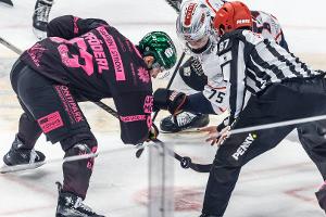 DEL: Eisbären setzen Aufholjagd fort