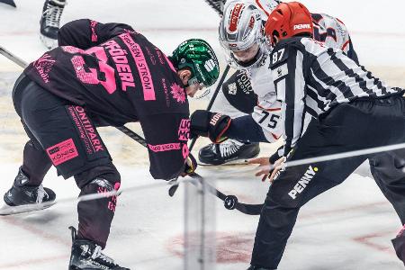 DEL: Eisbären setzen Aufholjagd fort