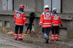 Mehrere Rettungshundestaffeln suchen in Güstrow nach einem Jungen.