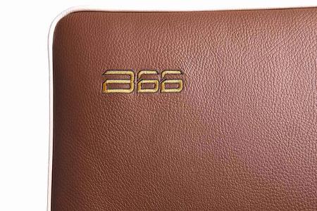 Bürstner Stick, Leder, Polster, Innenraum