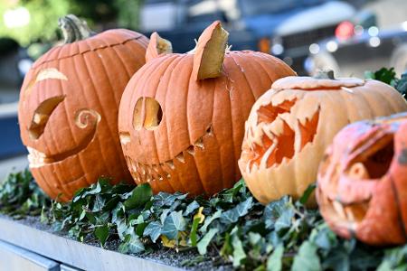 Ausgehöhlte Kürbisse mit gruseligen Fratzen in einem Vorgarten in Frankfurt am Main. (Archivbild)
