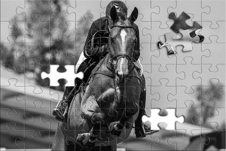 Puzzle: Springreiten