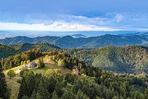 Schwarzwald 