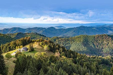 Schwarzwald 
