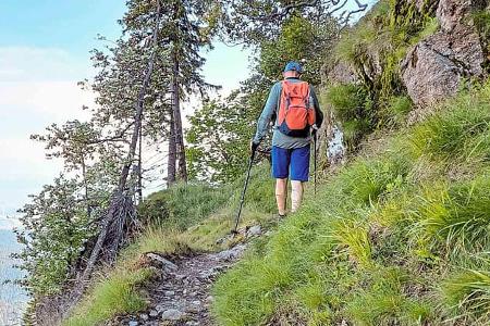 Wanderweg, Markgräfler Land, Camping, Reise, Urlaub