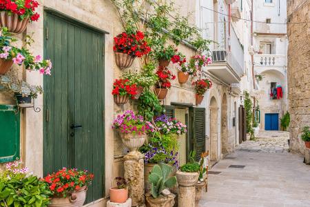 Ferragosto