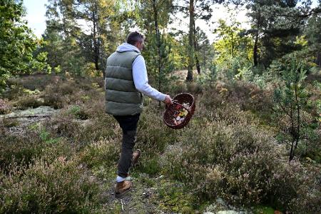 Moritz Schmid unterwegs in seinem Heimatwald.