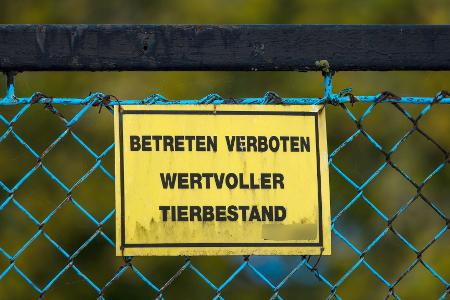 Forderungen nach einem bundesweiten Aufstallungsgebot werden lauter. 