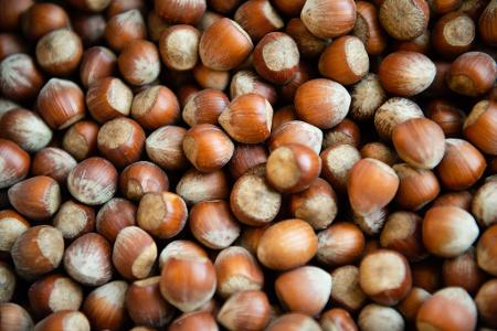 Die Haselsnussernte ist in Italien so schlecht ausgefallen wie seit Jahrzehnten nicht mehr. (Archivbild)