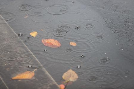 Insbesondere im Norden kam viel Regen herunter. (Archivbild)