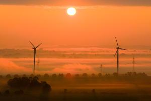 Die OECD fordert mehr Tempo beim Klimaschutz. (Archivbild)