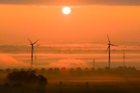 Die OECD fordert mehr Tempo beim Klimaschutz. (Archivbild)