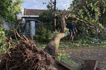 In Vietnam wurden Bäume entwurzelt und Tausende Häuser beschädugt.