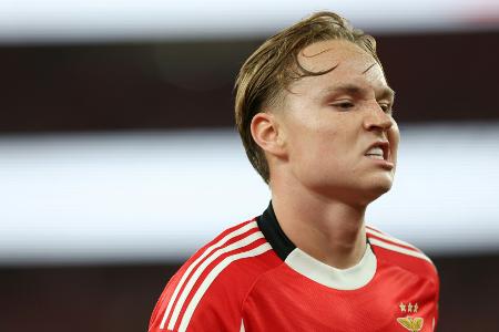 Benficas Schjelderup gibt Verbreitung von Sex-Video zu