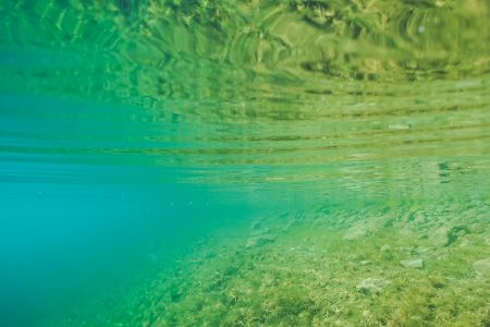 Unter der Wasseroberfläche eines Sees