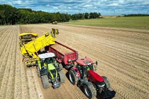Die Kartoffelbauern haben in diesem Jahr eine sehr gute Ernte eingefahren - es sind sogar zu viele Kartoffeln, die Preise sind relativ schlecht. (Archivfoto)