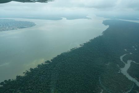 Durch den an die Millionenstadt Belém grenzenden Wald fließt der Fluss Guama.