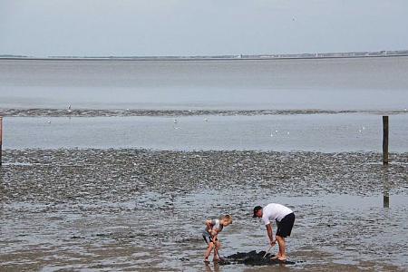 Watt, Nordsee, Camping, Urlaub