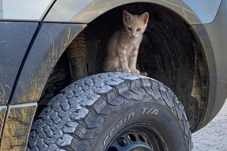 Rad Weinsberg, Weinsberg X-Pedition 600 MQ, Offroad, Camping