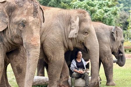 Oft singt Lek ihren Elefanten Schlaflieder, um sie zu beruhigen.