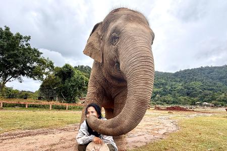 Mit ihren Rüsseln scheinen die Elefanten ihre Retterin zärtlich zu streicheln.