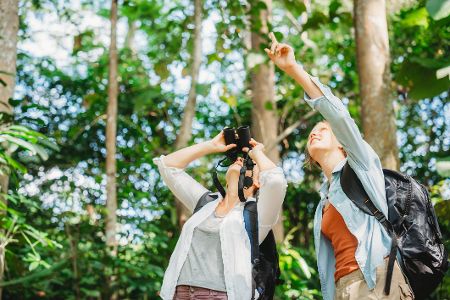 Menschen mit Fernglas beobachten Vögel im Wald