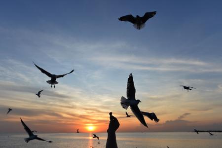 Sonnige Reiseziele sind laut Dertour besonders gefragt. (Archivbild)