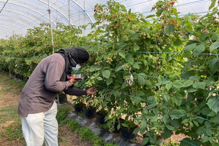 Die befreiten Migranten wurden laut Polizei oft geschlagen. 