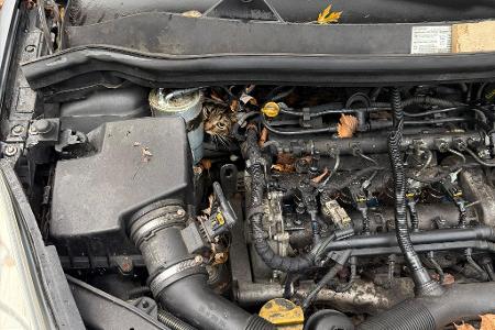 In höchster Not findet die Feuerwehr eine eingeklemmte Katze in einem Auto vor.