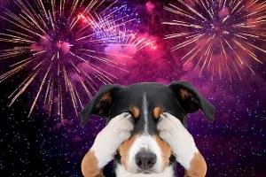 Purple Firework celebrate anniversary happy new year 2025, 4th of july holiday festival. Purple firework in night time celebrate national holiday. Violet firework Countdown to new year 2025 festival