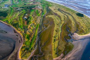 Küste mit Salzwiesen