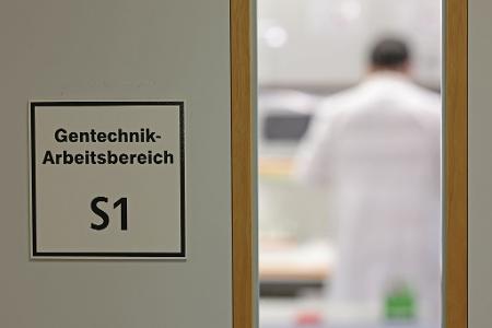 Befürworter erhoffen sich Obst- und Gemüsesorten, die ertragreicher, resistenter gegen den Klimawandel und nährstoffreicher sind.