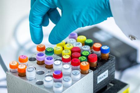 Künftig sollen auch Patente für gentechnisch veränderte Pflanzen möglich sein.