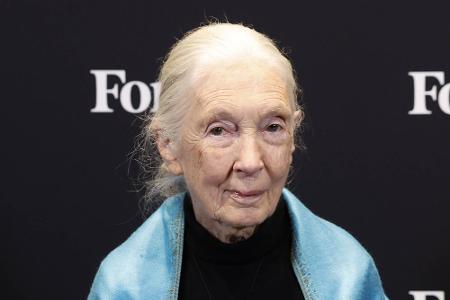 Jane Goodall