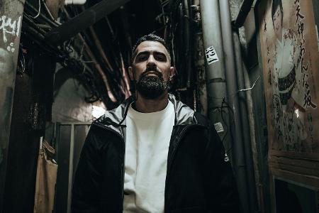 Zehn Nummer-eins-Alben: Bushido