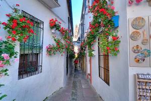 i_schmale_Straßen_Cordoba