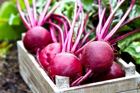 Rote Beete